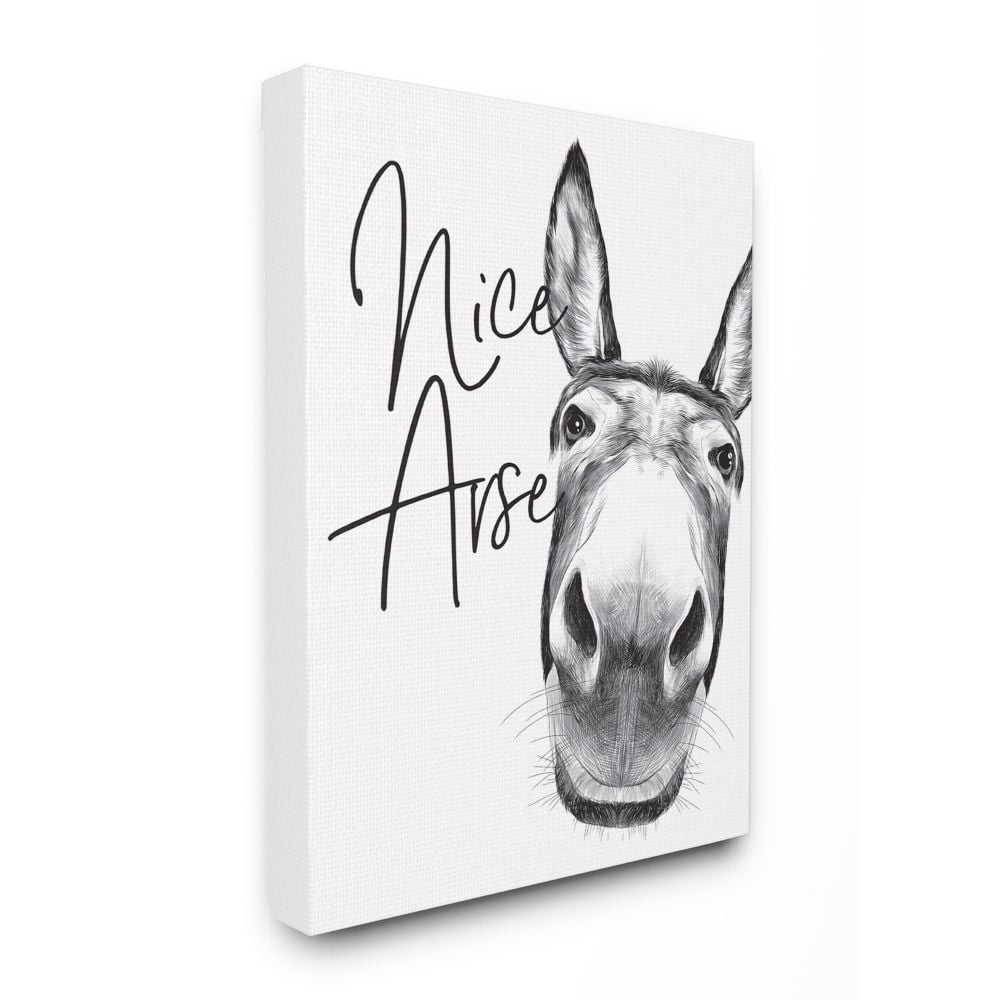 Stupell Industries Animal Humor Nice Arse Donkey Bathroom Phrase Canvas Wall Art Design by Lettered and Lined, 30" x 40"
