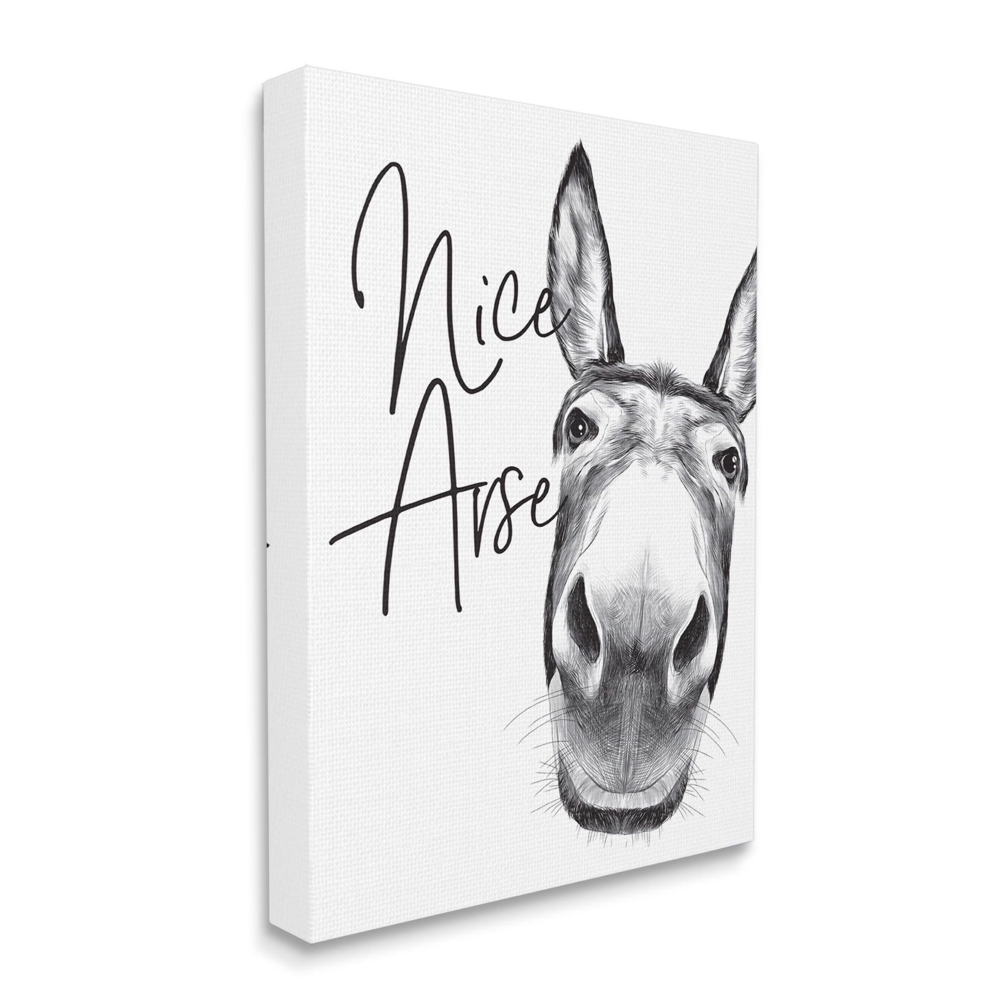 Stupell Industries Animal Humor Nice Arse Donkey Bathroom Phrase Canvas Wall Art Design by Lettered and Lined, 36" x 48"