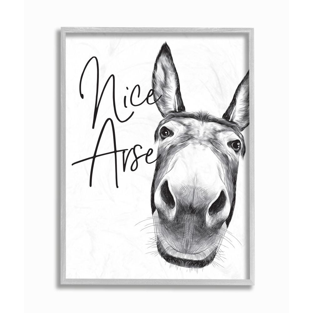 Stupell Industries Animal Humor Nice Arse Donkey Bathroom Phrase Framed Wall Art Design by Lettered and Lined, 16" x 20", Gray Framed
