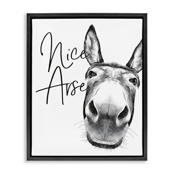 Stupell Industries Animal Humor Nice Arse Donkey Bathroom Phrase Jet Black Framed Floating Canvas Wall Art, 16x20, by Lettered and Lined