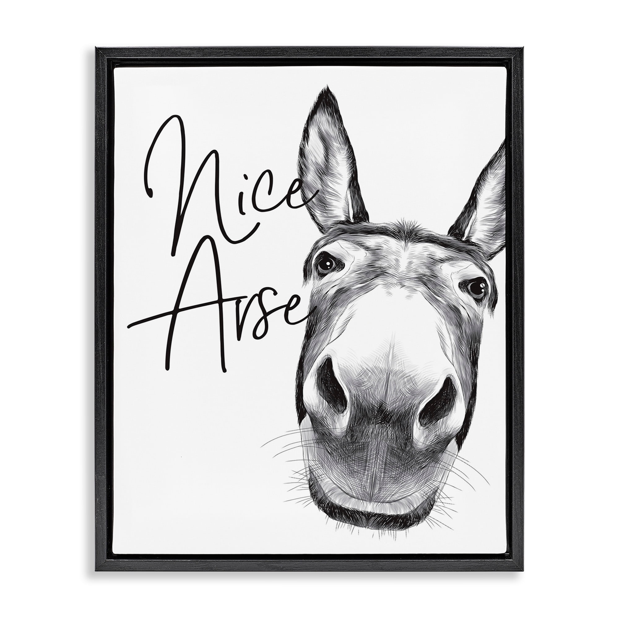 Stupell Industries Animal Humor Nice Arse Donkey Bathroom Phrase Jet Black Framed Floating Canvas Wall Art, 24x30, by Lettered and Lined