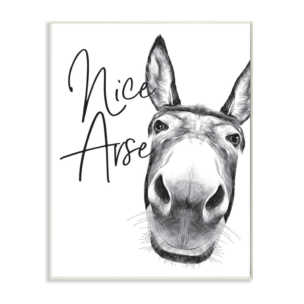 Stupell Industries Animal Humor Nice Arse Donkey Bathroom Phrase Wall Plaque Design by Lettered and Lined