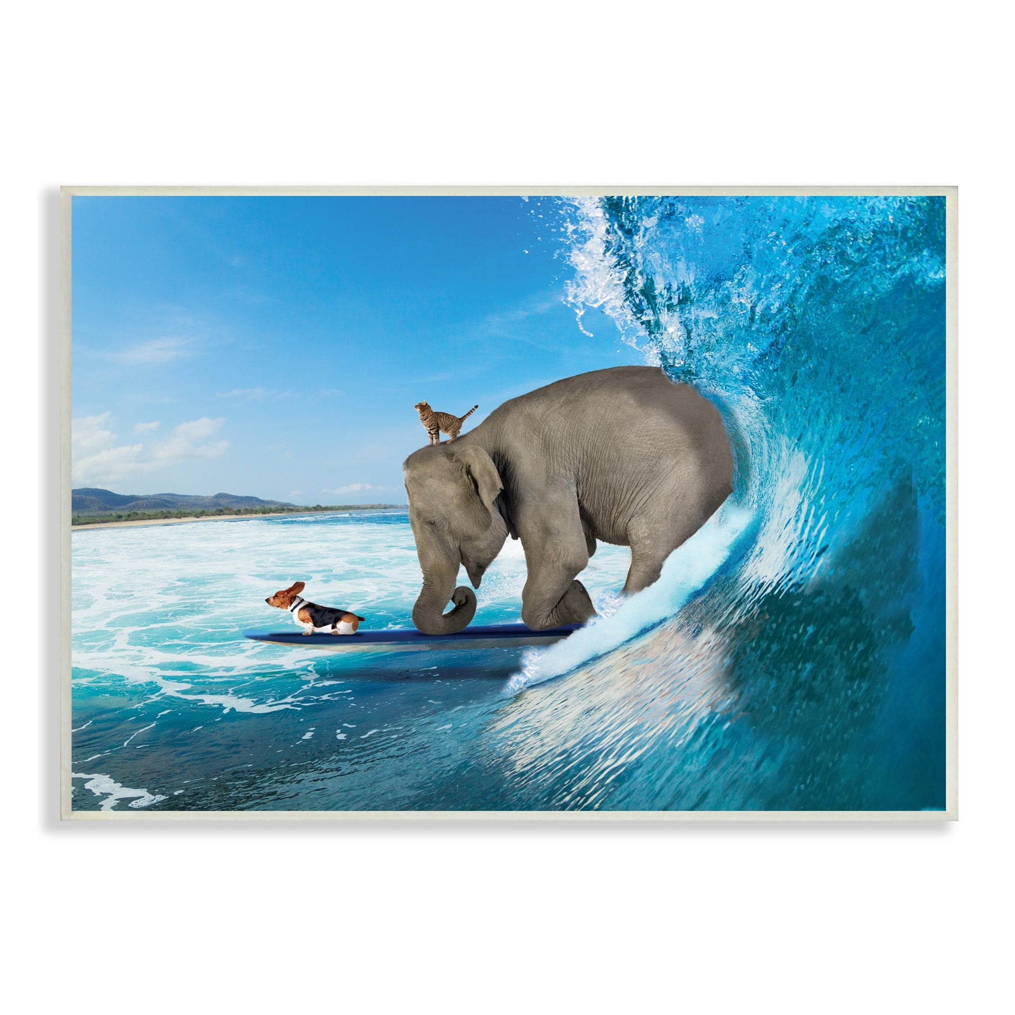 Stupell Industries Animals Riding Ocean Waves Surfing Elephant Cat Dog Graphic Art Unframed Art Print Wall Art, Design by Nobleworks
