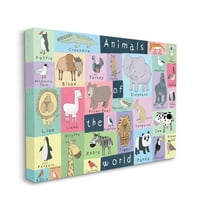 Stupell Industries Animals of the World Guide to Whimsical Animals,16 x 20,Designed by Carla Daly