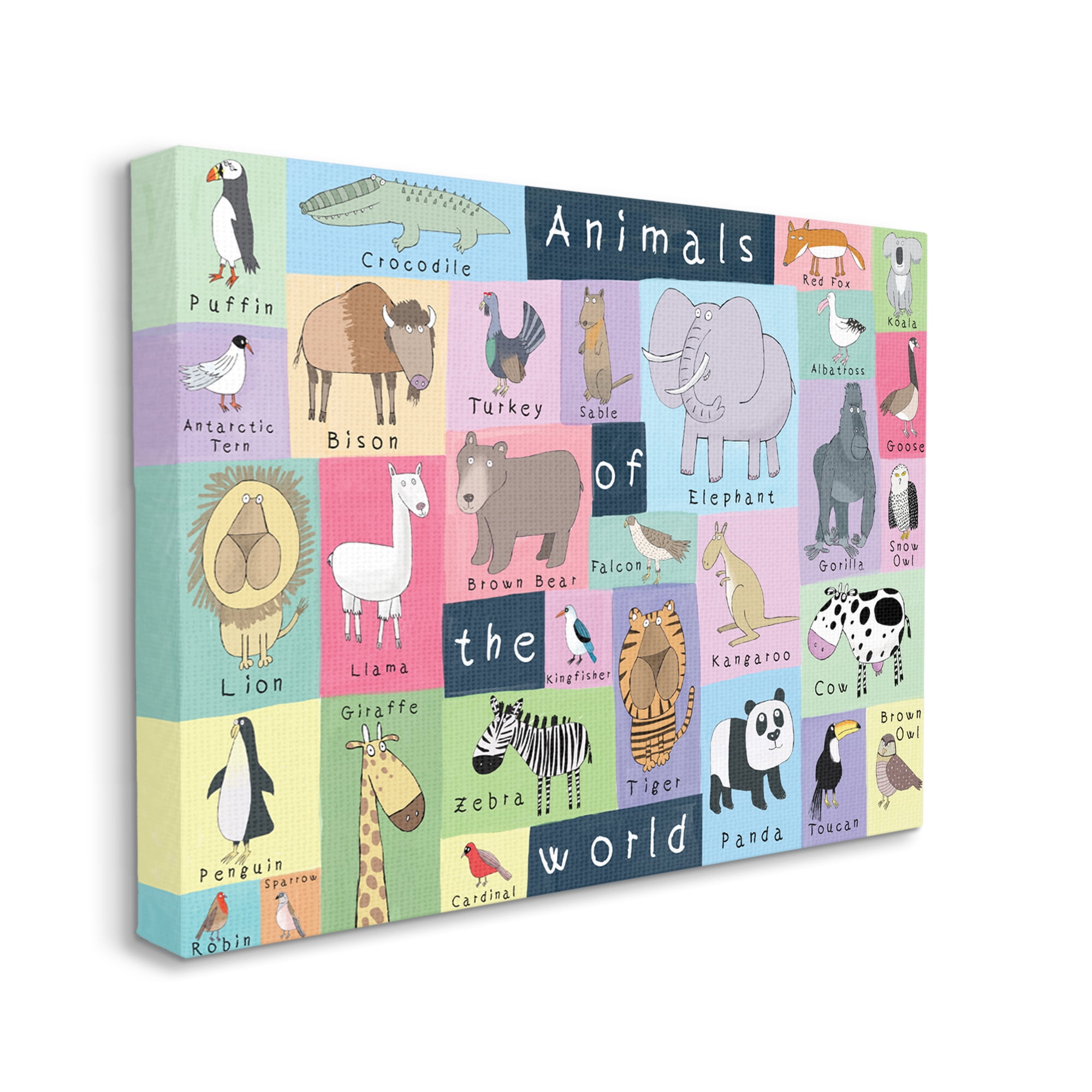 Stupell Industries Animals of the World Guide to Whimsical Animals,24 x 30,Designed by Carla Daly