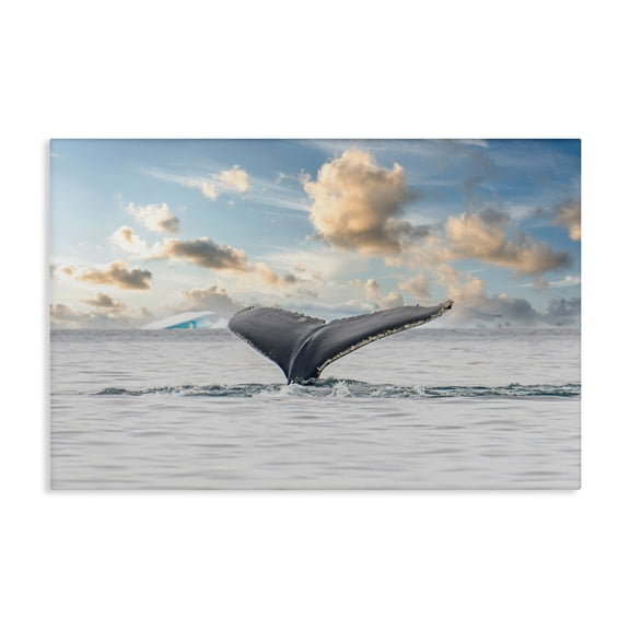 Stupell Industries Antarctica Whale Tail Canvas Wall Art design by Richard Silver, 30 x 45