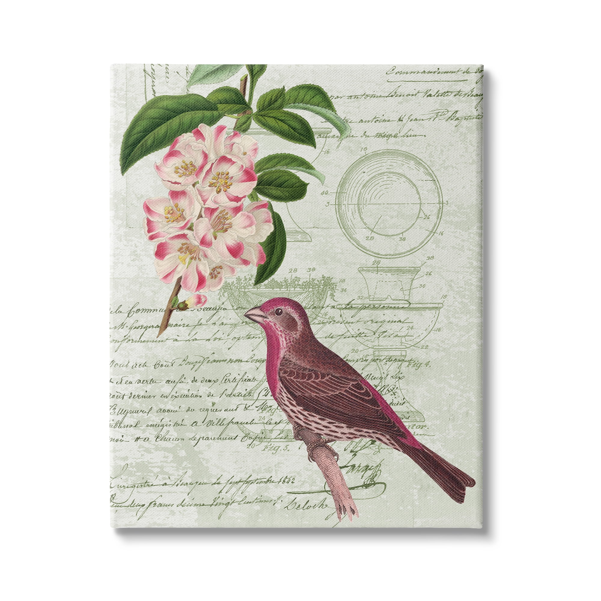 Stupell Industries Antique Bird House Patent Vintage Tree Florals Rosy-Finch, 16 x 20, Design by Daphne Polselli