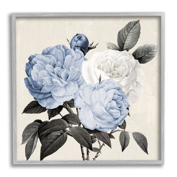 Stupell Industries Antique Blue Rose Blooms Botanical & Floral Painting Gray Framed Art Print Wall Art, 17 x 17