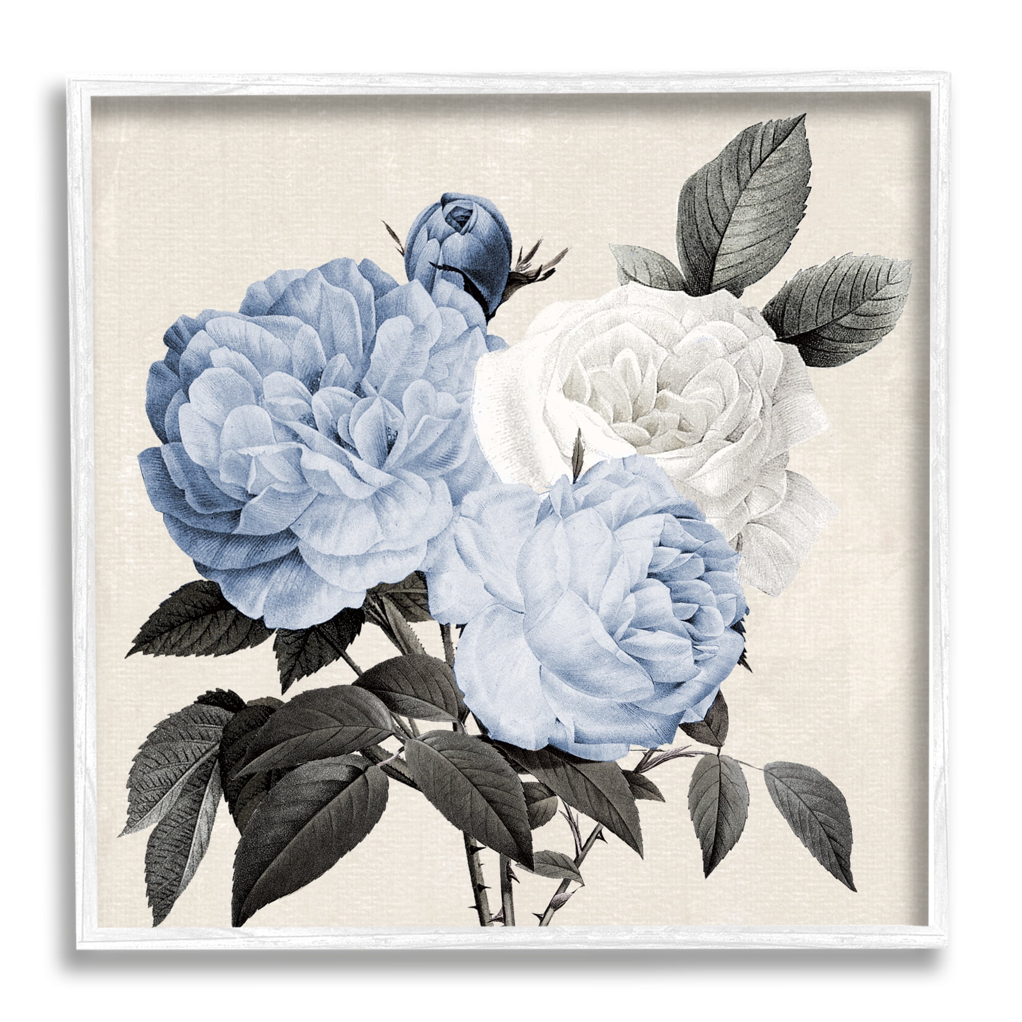 Stupell Industries Antique Blue Rose Blooms Botanical & Floral Painting White Framed Art Print Wall Art, 12 x 12