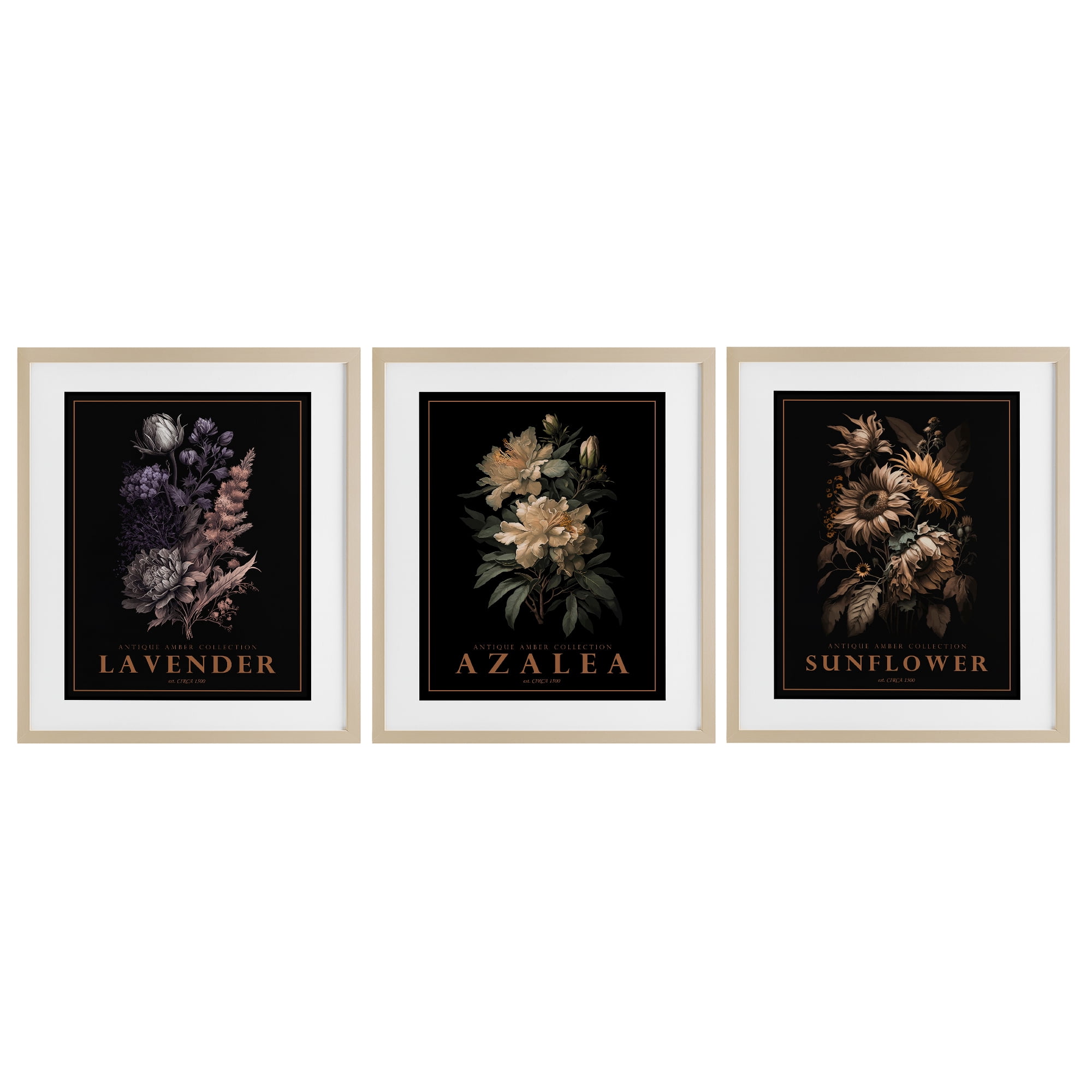 Stupell Industries Antique Botanical Herb Bushels 3 Piece Birch Framed Print Under Glass Set, design by Christopher Giampietro