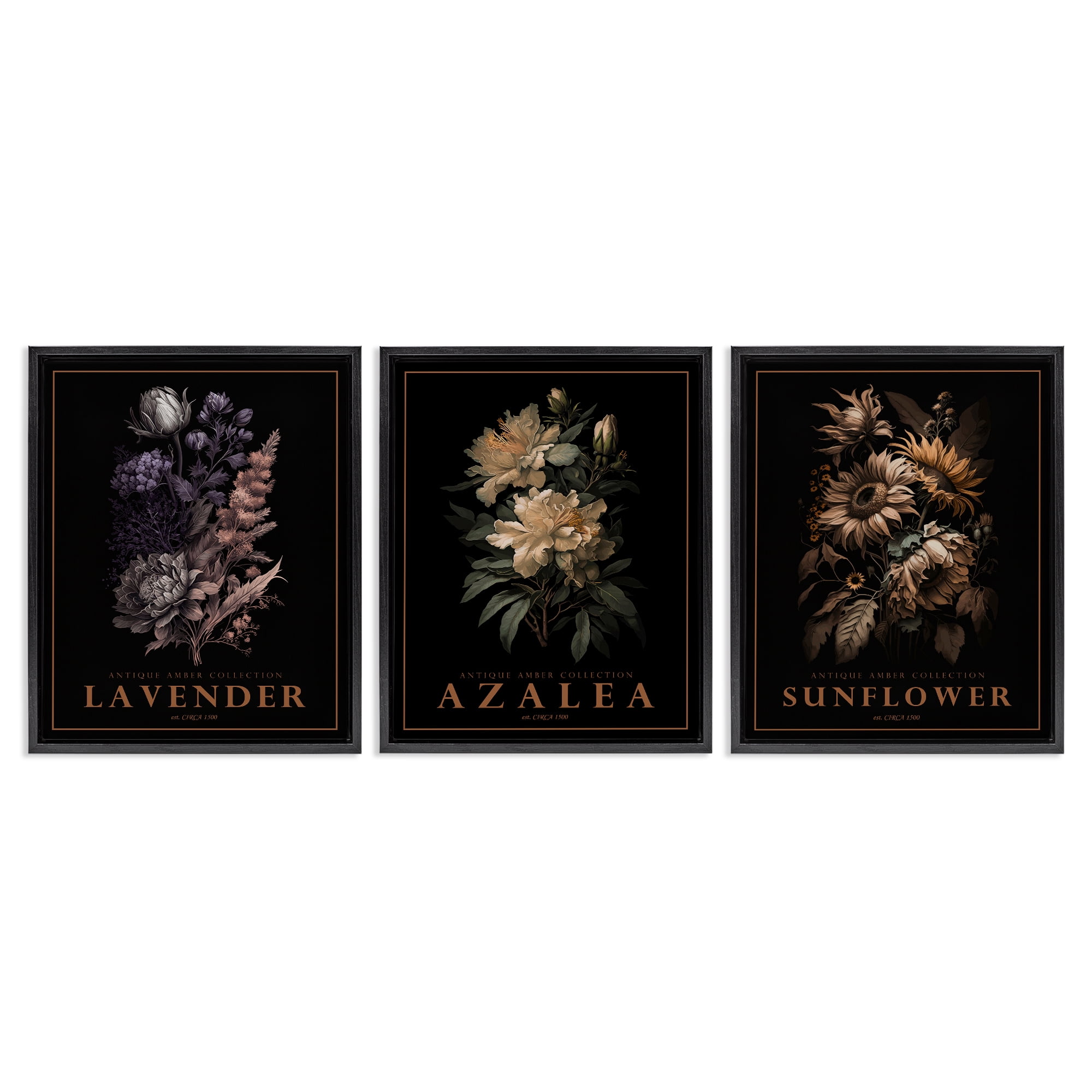 Stupell Industries Antique Botanical Herb Bushels 3 Piece Black Framed Floater Canvas Set, design by Christopher Giampietro