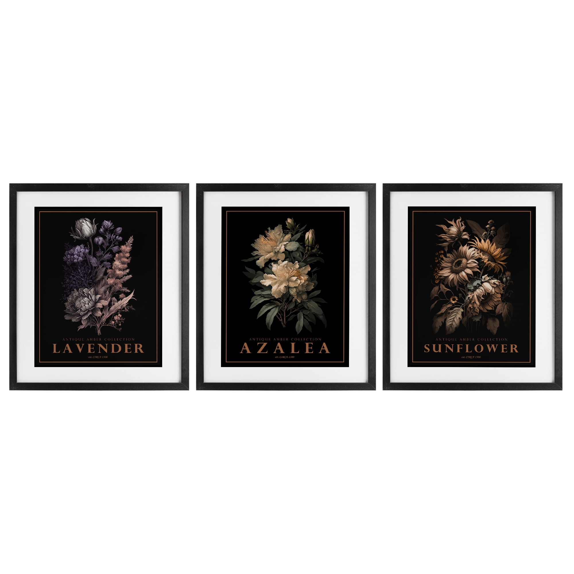 Stupell Industries Antique Botanical Herb Bushels 3 Piece Black Framed Print Under Glass Set, design by Christopher Giampietro