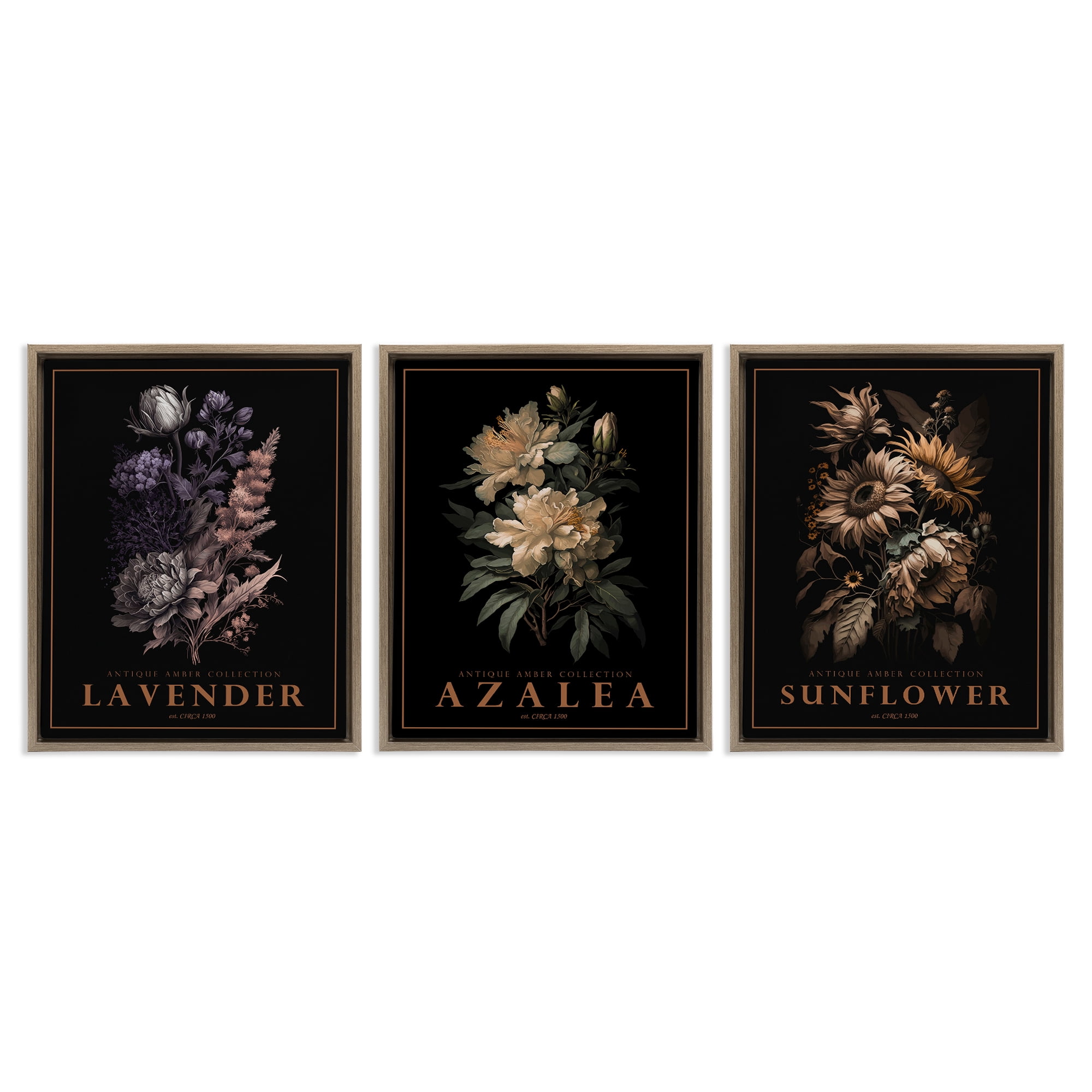 Stupell Industries Antique Botanical Herb Bushels 3 Piece Brown Framed Floater Canvas Set, design by Christopher Giampietro