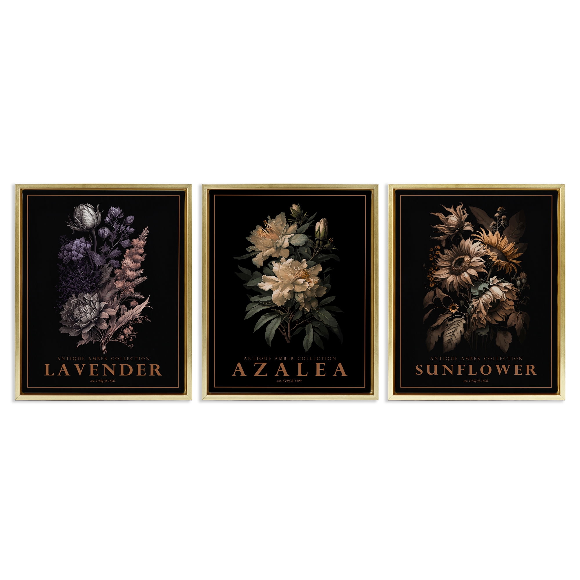 Stupell Industries Antique Botanical Herb Bushels 3 Piece Gold Framed Floater Canvas Set, design by Christopher Giampietro