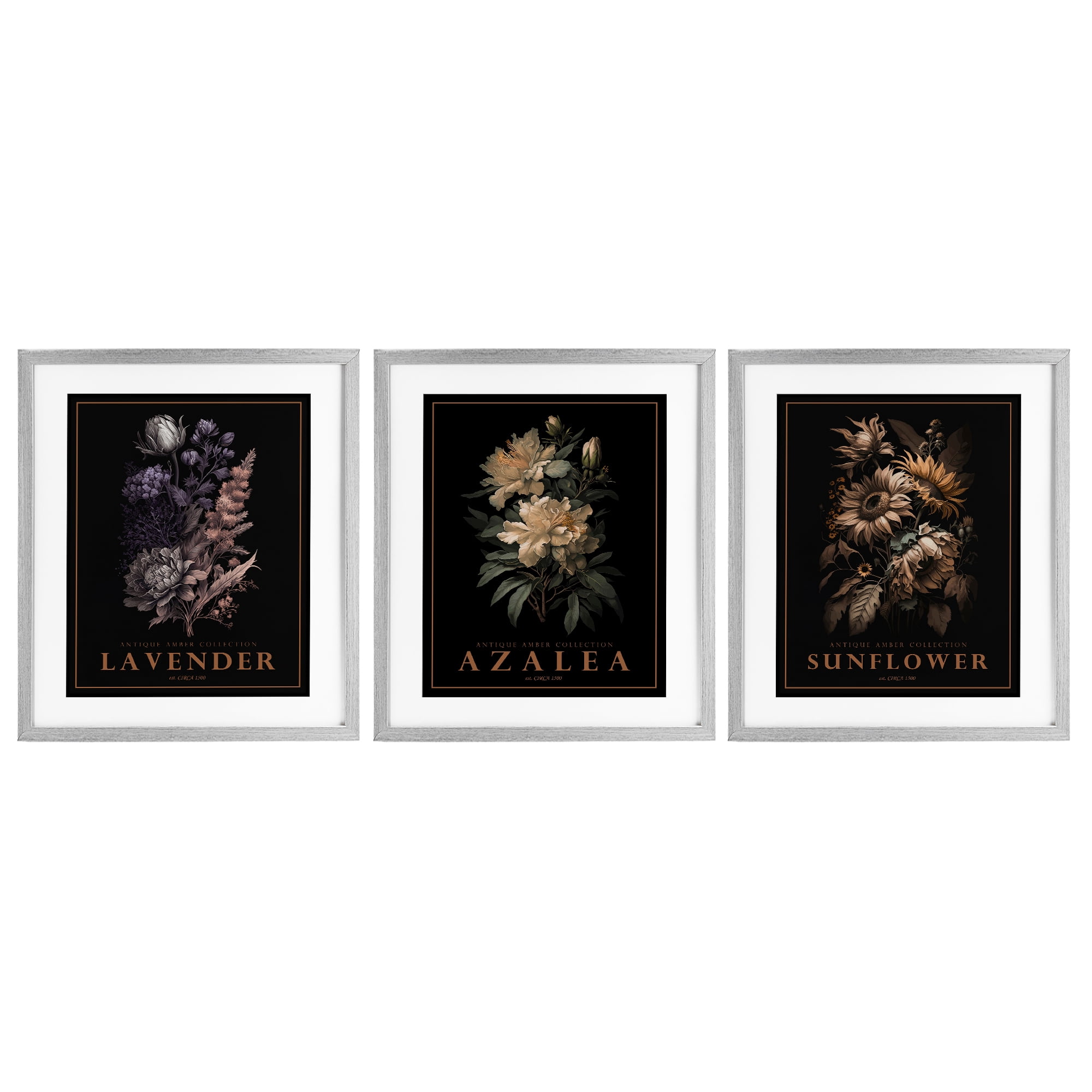 Stupell Industries Antique Botanical Herb Bushels 3 Piece Gray Framed Print Under Glass Set, design by Christopher Giampietro