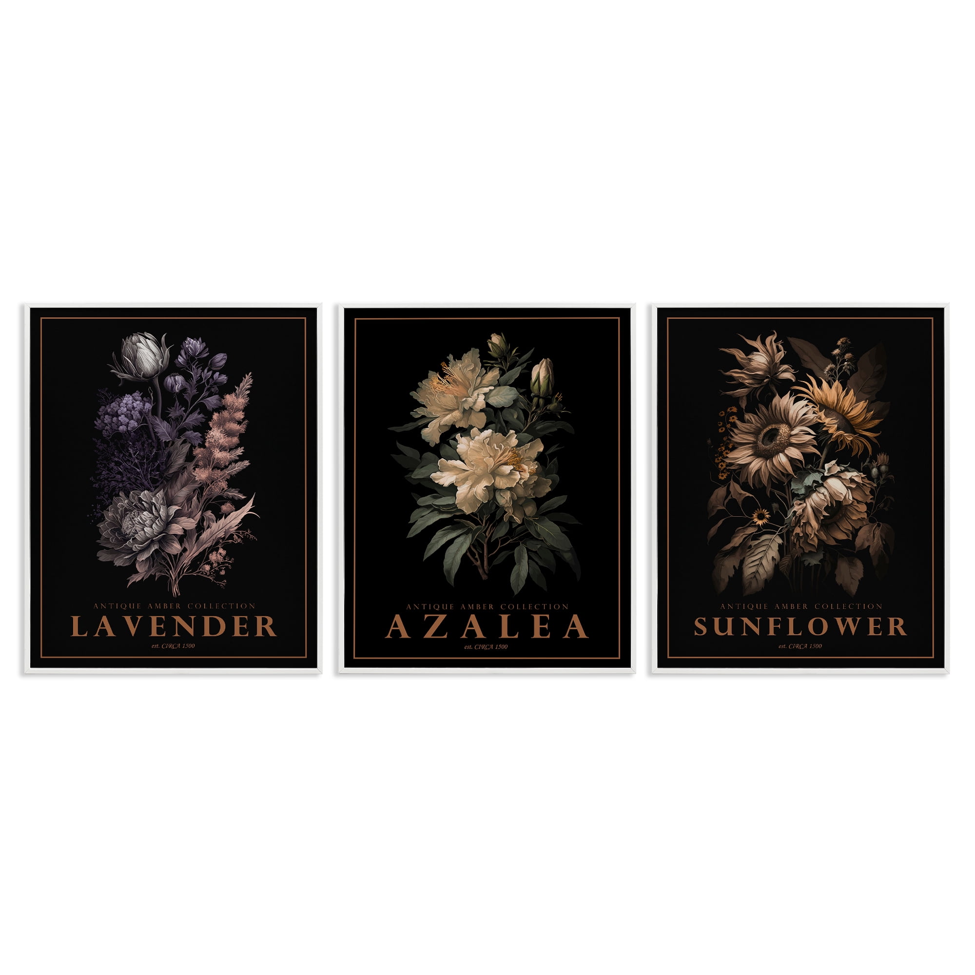Stupell Industries Antique Botanical Herb Bushels 3 Piece White Framed Giclee Art Set, design by Christopher Giampietro