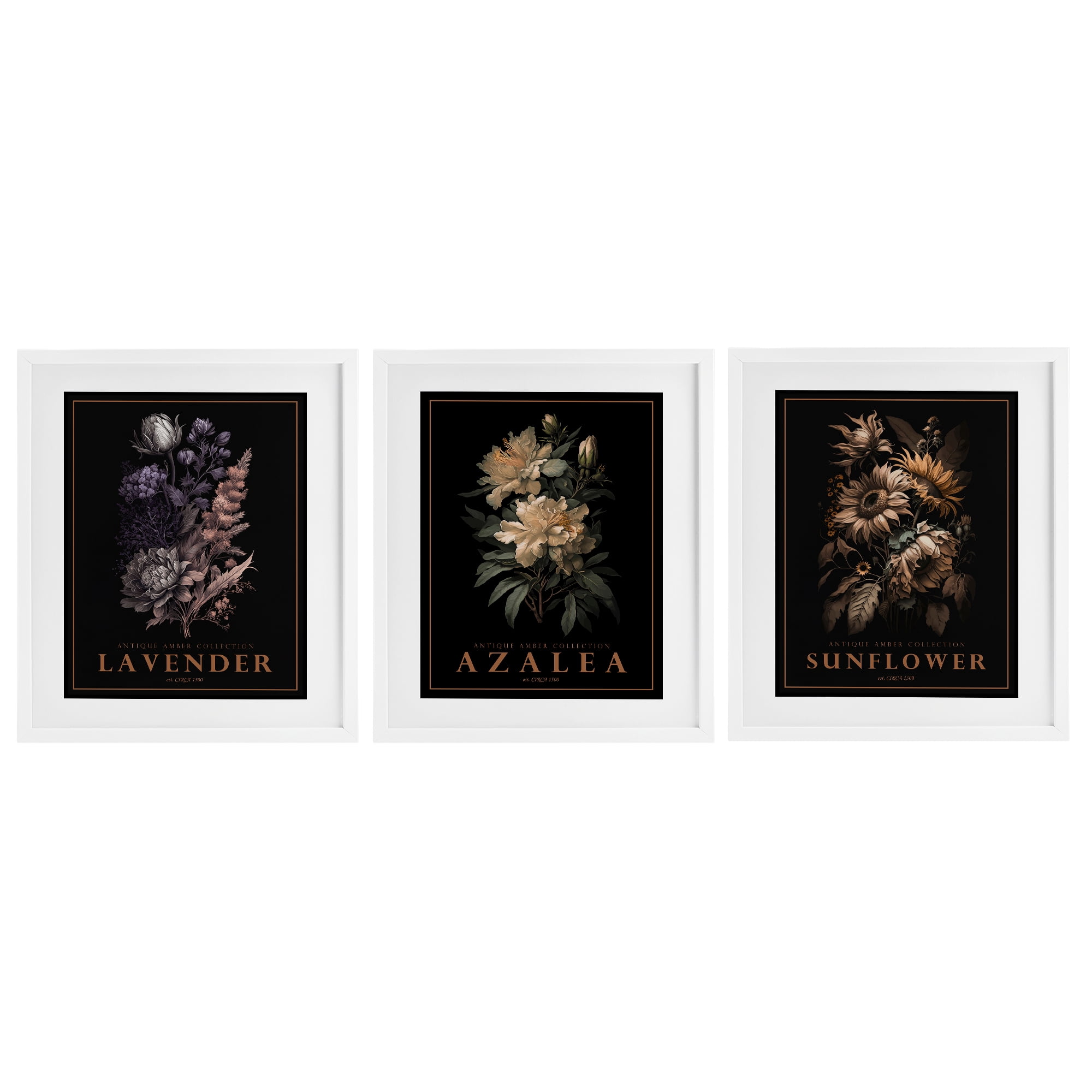 Stupell Industries Antique Botanical Herb Bushels 3 Piece White Framed Print Under Glass Set, design by Christopher Giampietro