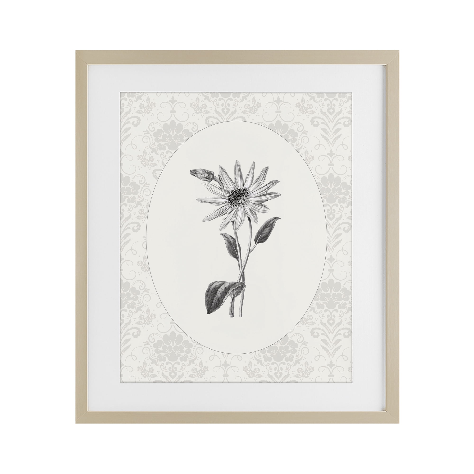 Stupell Industries Antique Botanical & Lace Birch Framed Print Under Glass, design by CAD Designs