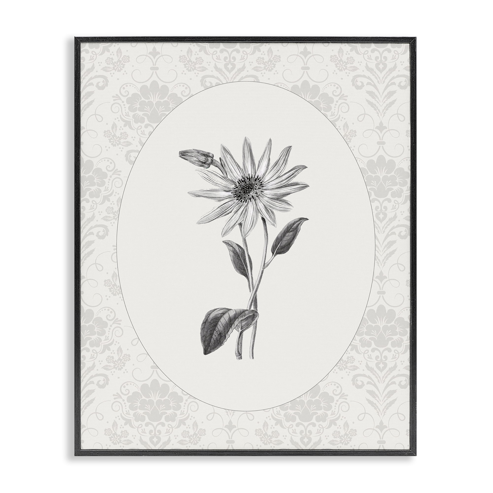 Stupell Industries Antique Botanical & Lace Black Framed Giclee Art, design by CAD Designs