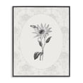 thumbnail image 1 of Stupell Industries French Country Antique Botanical & Lace Black Framed Giclee Art, 11 x 14, by CAD Designs, 1 of 8