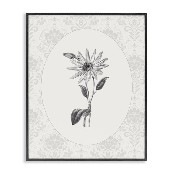 Stupell Industries French Country Antique Botanical & Lace Black Framed Giclee Art, 11 x 14, by CAD Designs