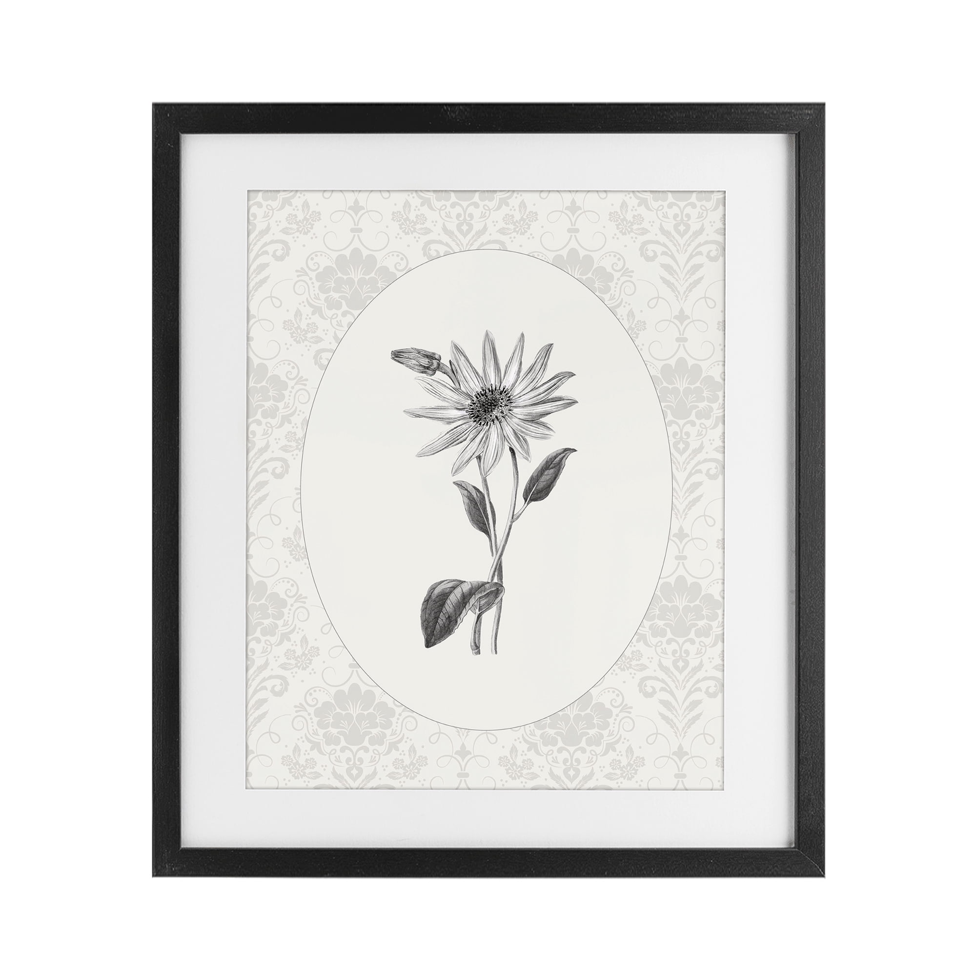 Stupell Industries Antique Botanical & Lace Black Framed Print Under Glass, design by CAD Designs