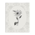 thumbnail image 1 of Stupell Industries French Country Antique Botanical & Lace Canvas Art, 30 x 40, by CAD Designs, 1 of 8