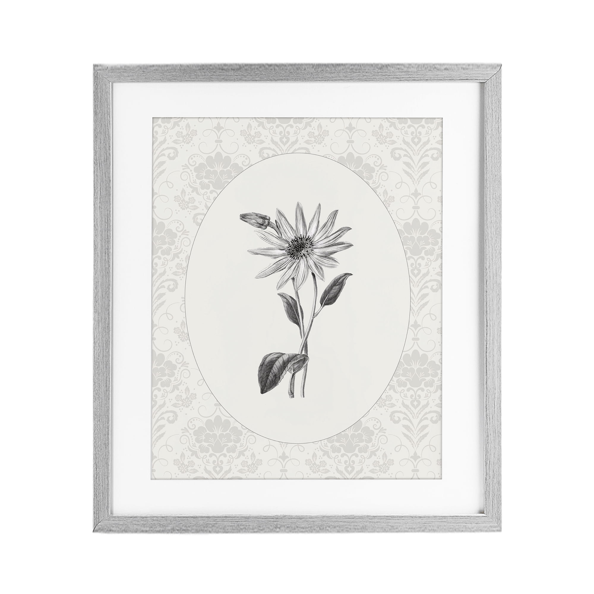 Stupell Industries Antique Botanical & Lace Gray Framed Print Under Glass, design by CAD Designs
