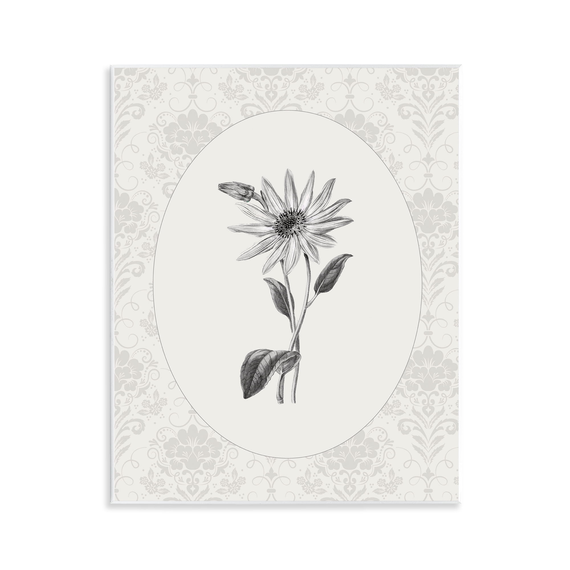 Stupell Industries Antique Botanical & Lace Wall Plaque Art, design by CAD Designs