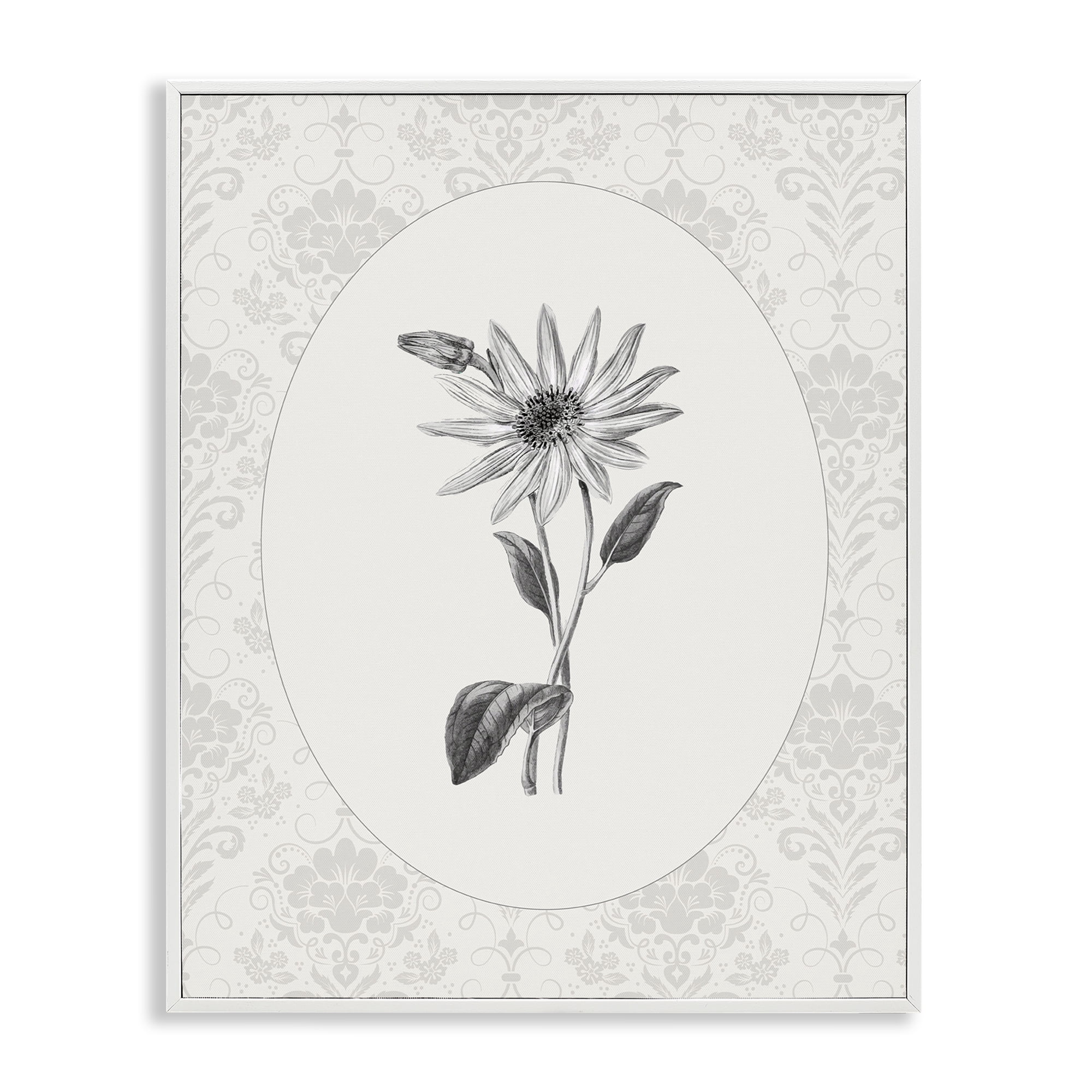 Stupell Industries Antique Botanical & Lace White Framed Giclee Art, design by CAD Designs