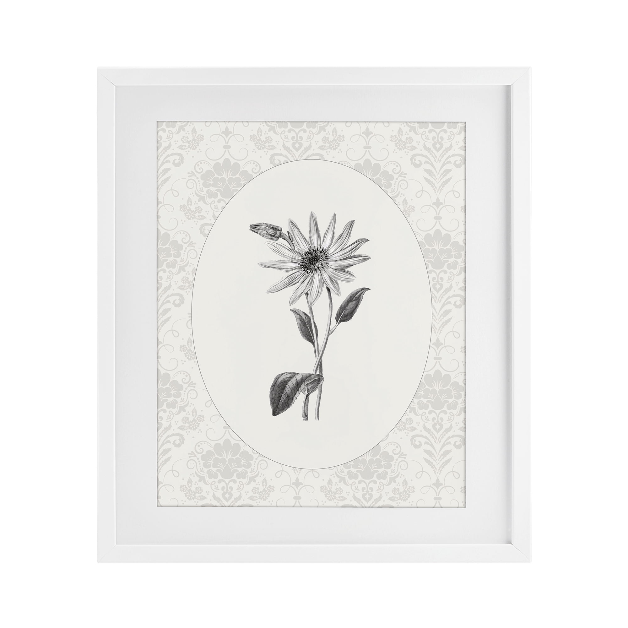 Stupell Industries Antique Botanical & Lace White Framed Print Under Glass, design by CAD Designs
