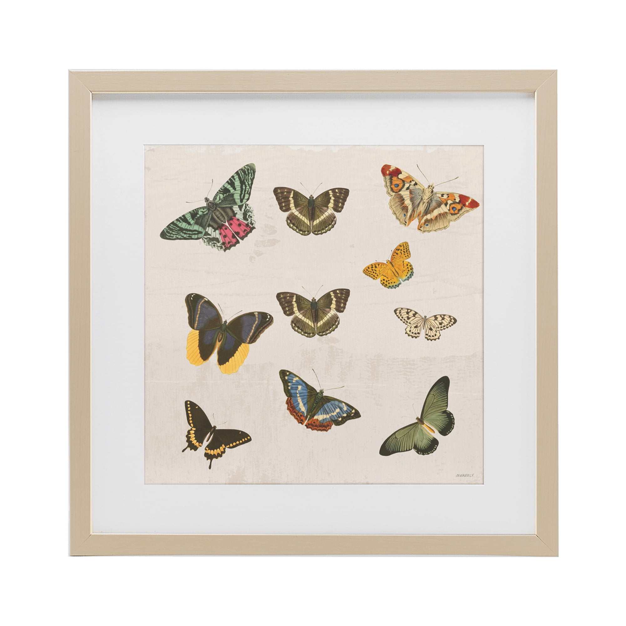Stupell Industries Antique Butterfly Flight Birch Framed Print Under Glass, design by Dan Meneely