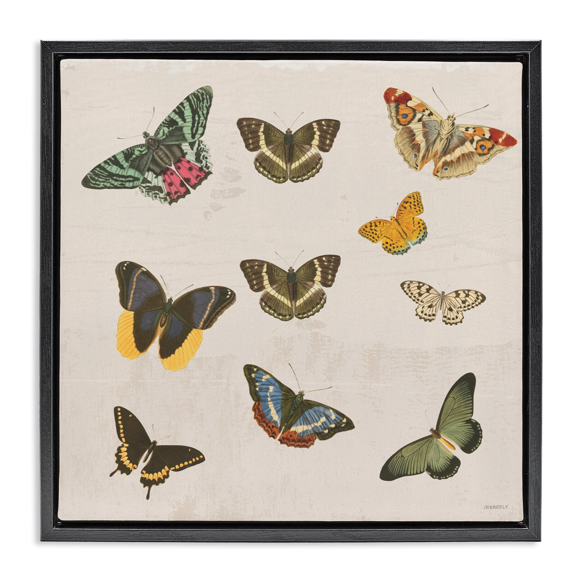 Stupell Industries Antique Butterfly Flight Black Framed Floater Canvas Wall Art, design by Dan Meneely