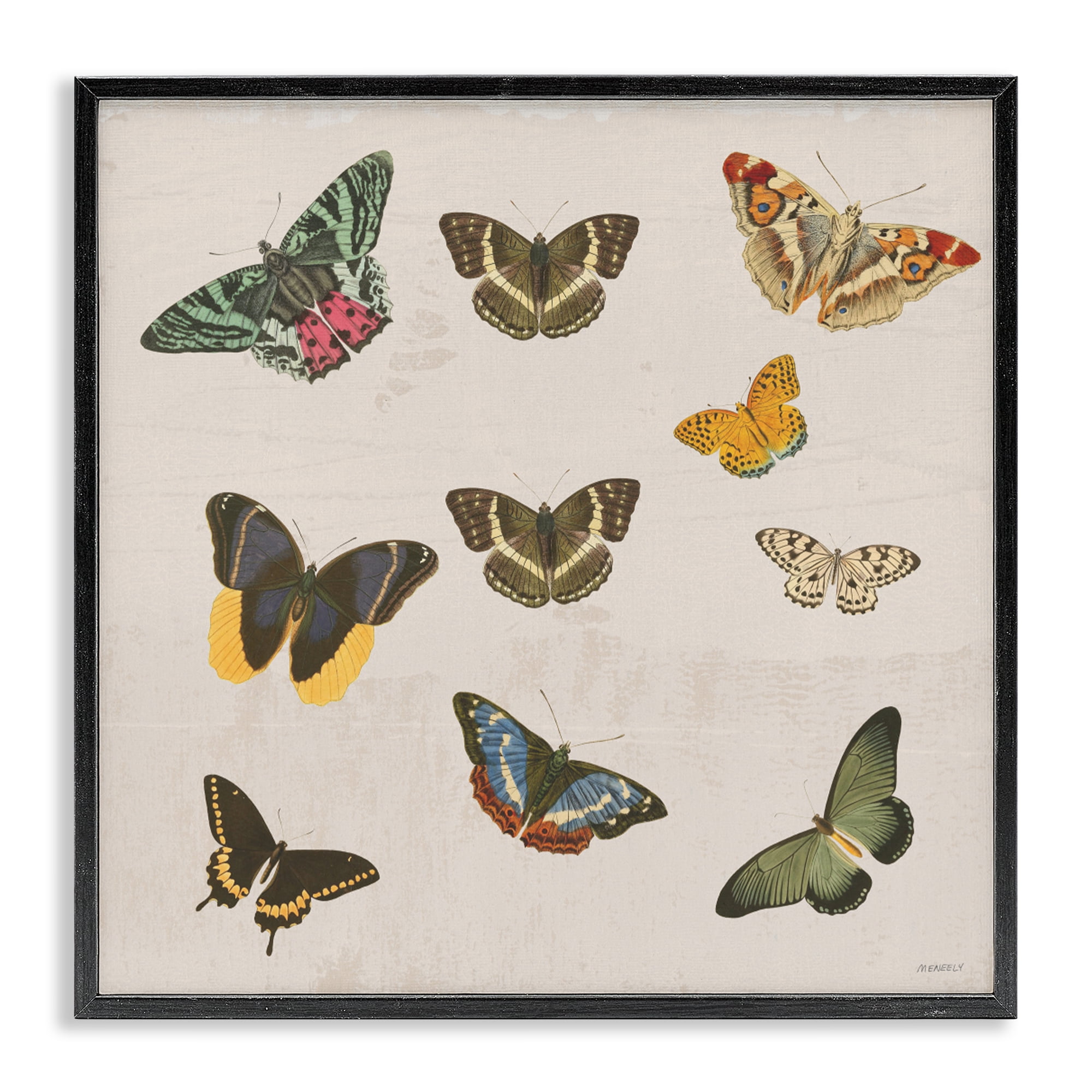 Stupell Industries Antique Butterfly Flight Black Framed Giclee Art, design by Dan Meneely