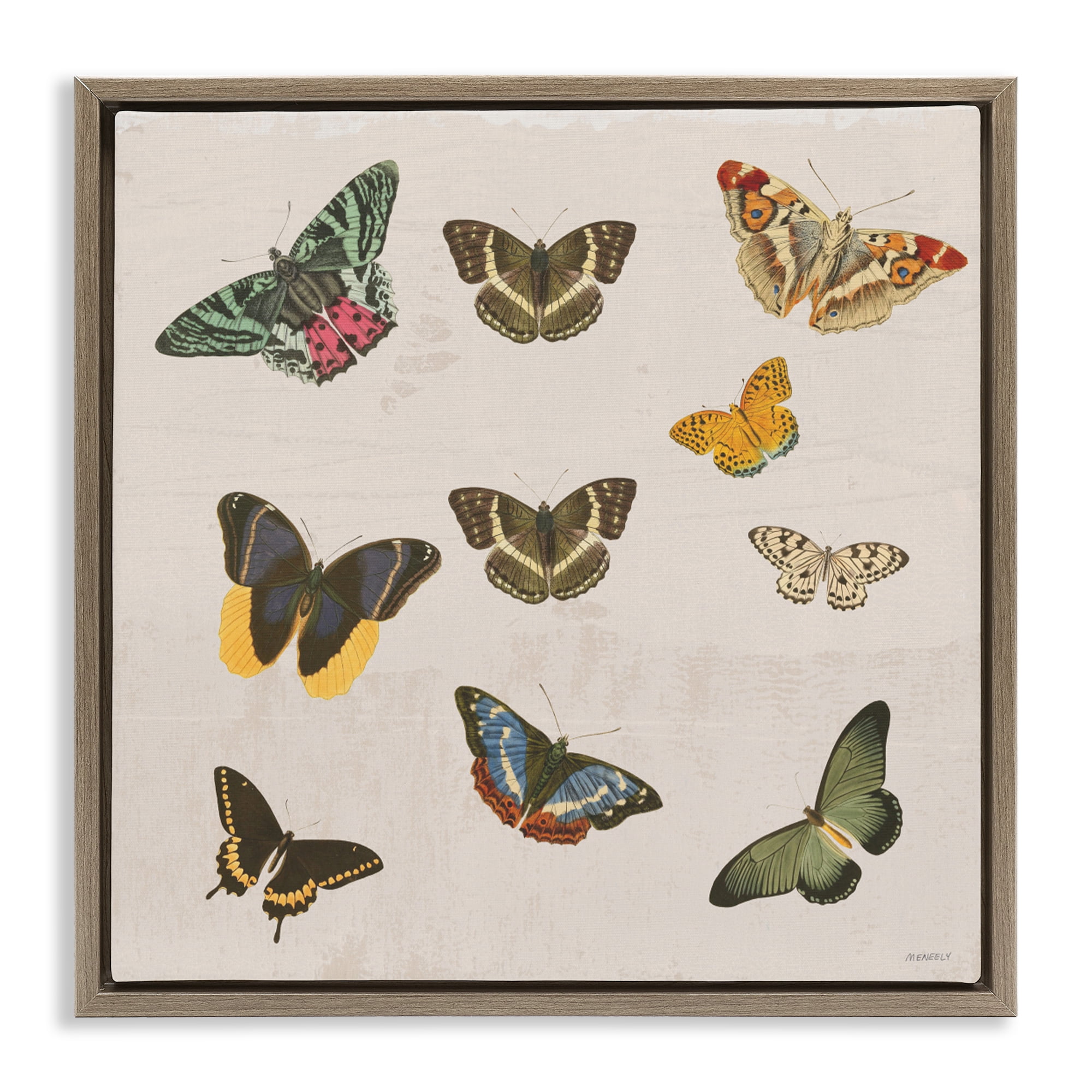Stupell Industries Antique Butterfly Flight Brown Framed Floater Canvas Wall Art, design by Dan Meneely