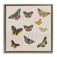 thumbnail image 1 of Stupell Industries Eclectic Antique Butterfly Flight Brown Floating Frame Canvas Art, 18 x 18, by Dan Meneely, 1 of 8