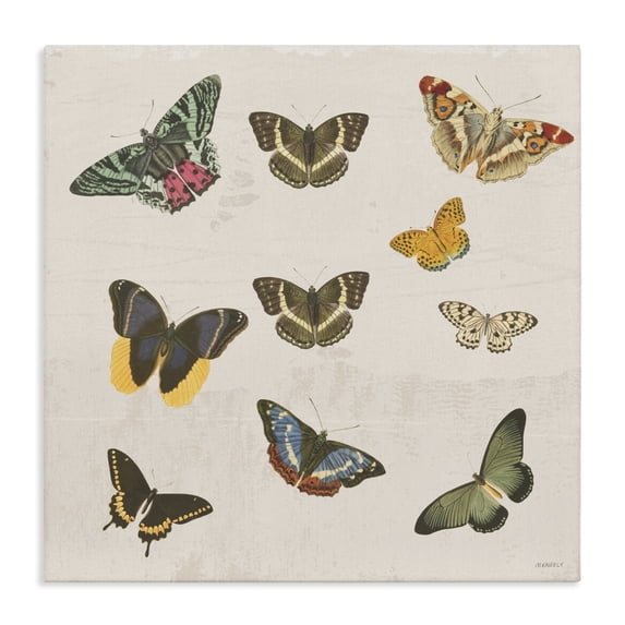Stupell Industries Eclectic Antique Butterfly Flight Canvas Art, 17 x 17, by Dan Meneely