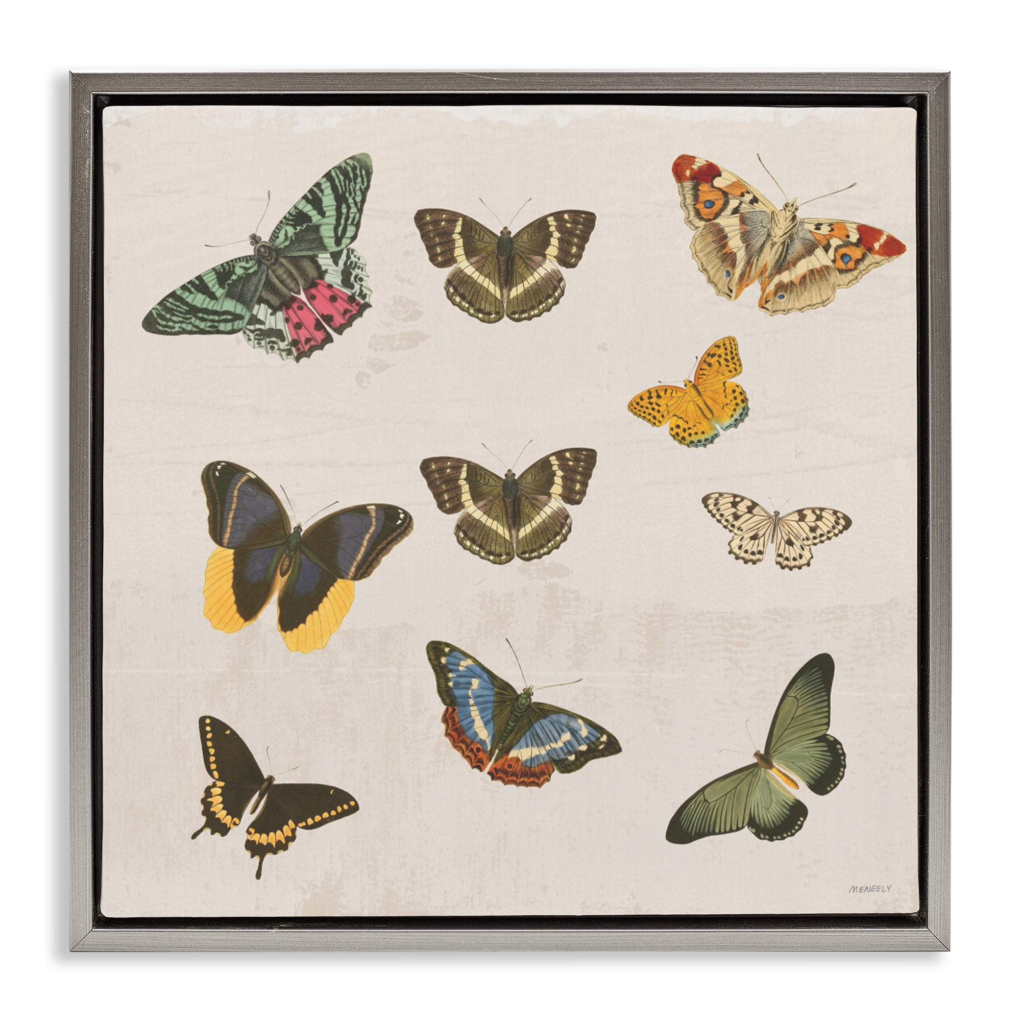 Stupell Industries Antique Butterfly Flight Gray Framed Floater Canvas Wall Art, design by Dan Meneely