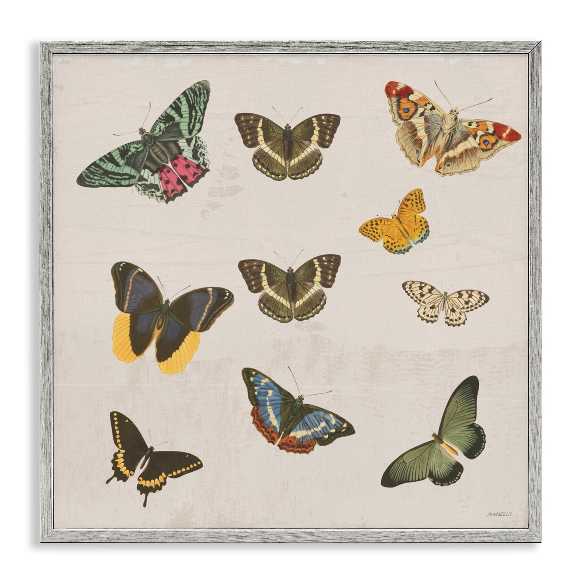 Stupell Industries Antique Butterfly Flight Gray Framed Giclee Art, design by Dan Meneely