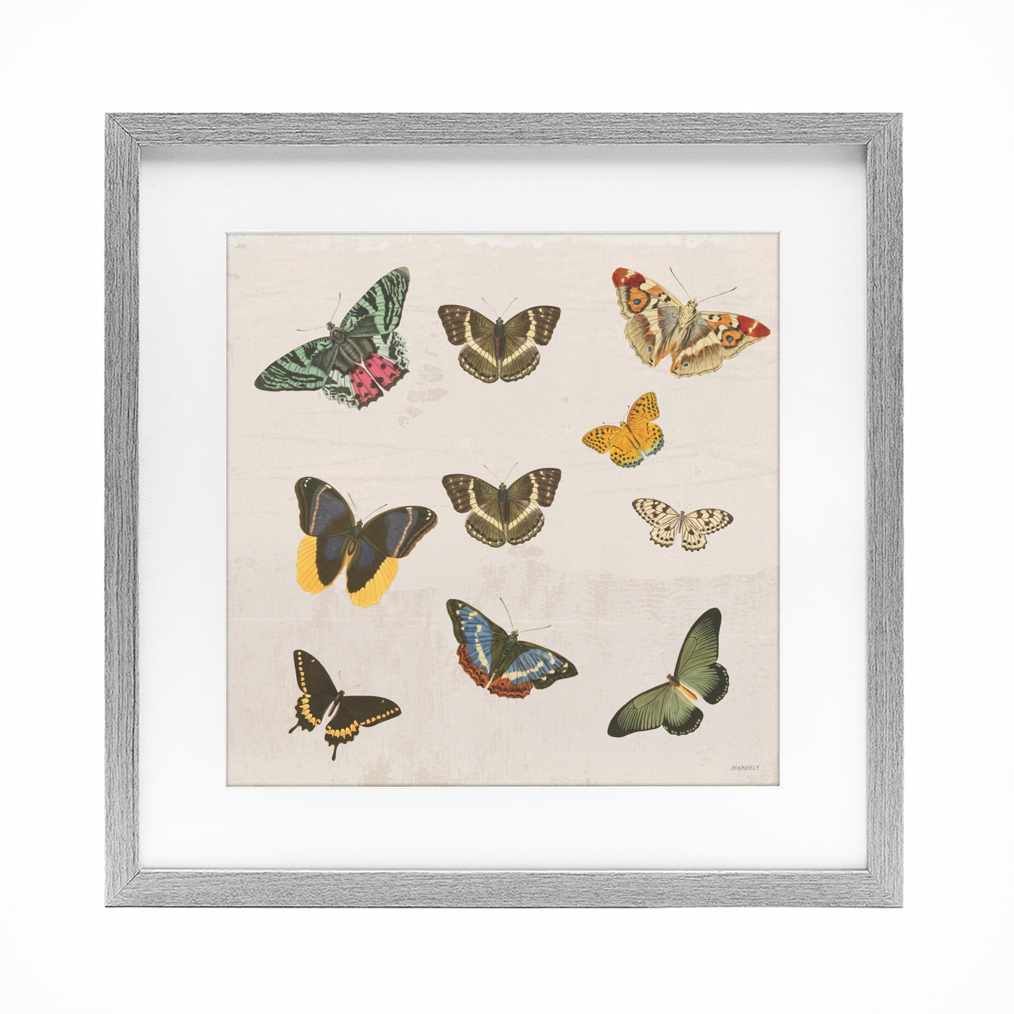 Stupell Industries Antique Butterfly Flight Gray Framed Print Under Glass, design by Dan Meneely