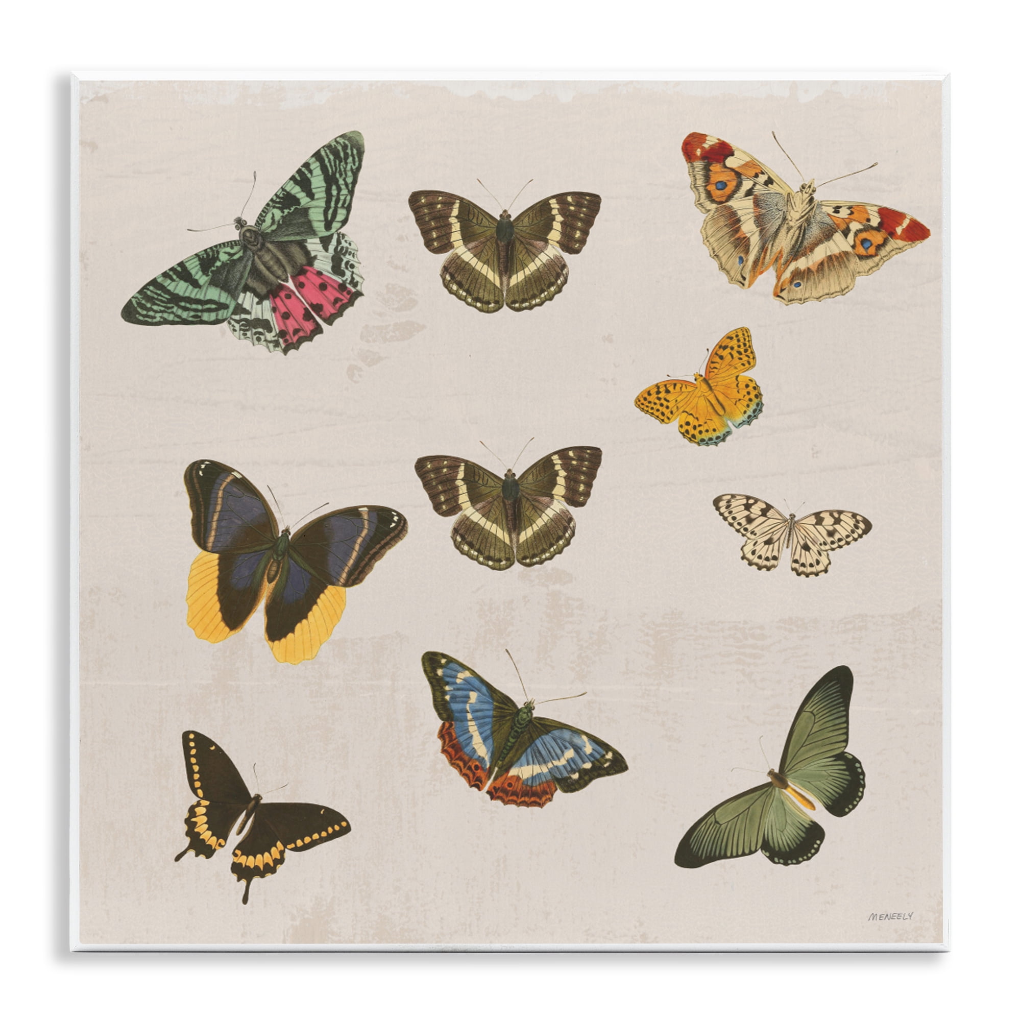 Stupell Industries Antique Butterfly Flight Wall Plaque Art, design by Dan Meneely