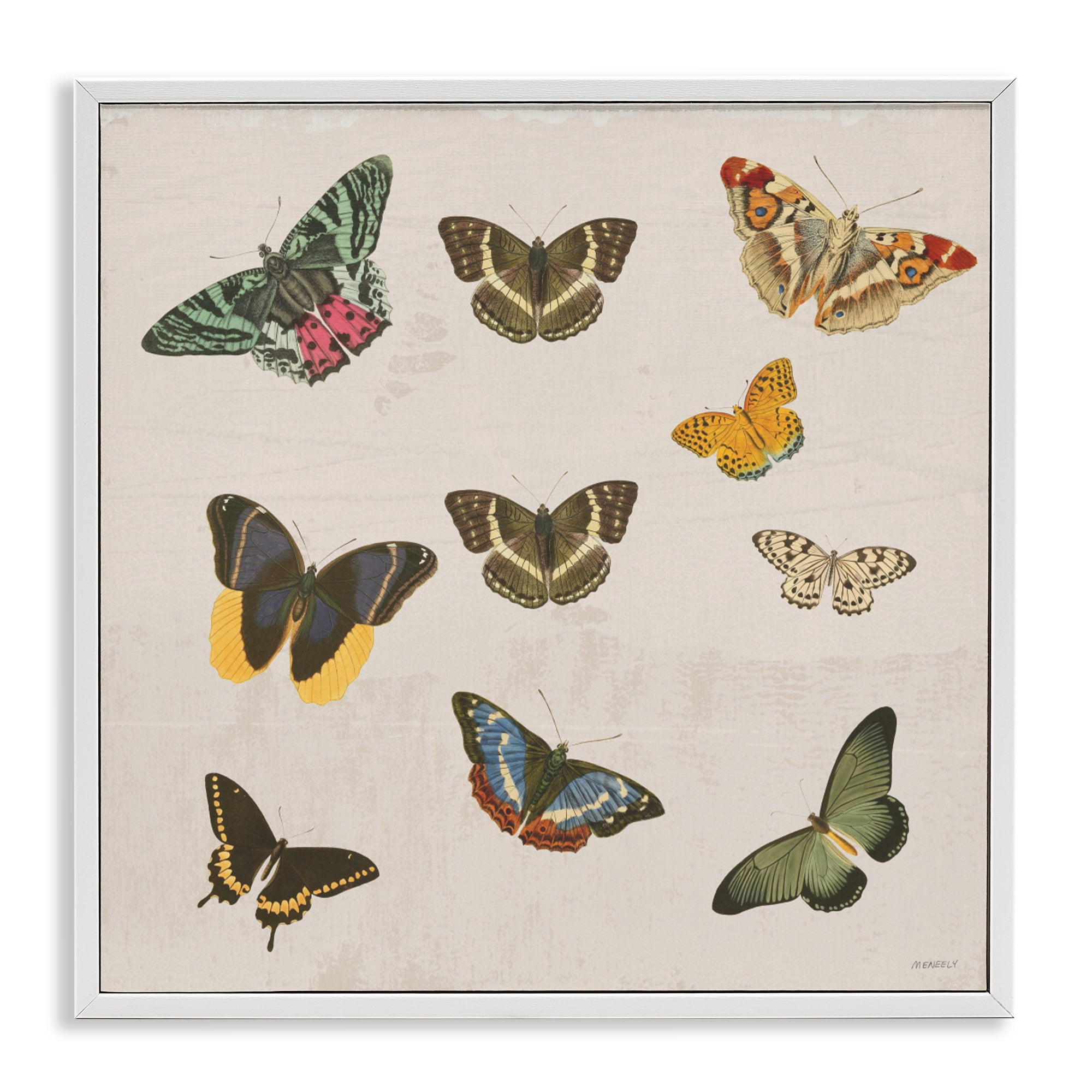 Stupell Industries Antique Butterfly Flight White Framed Giclee Art, design by Dan Meneely