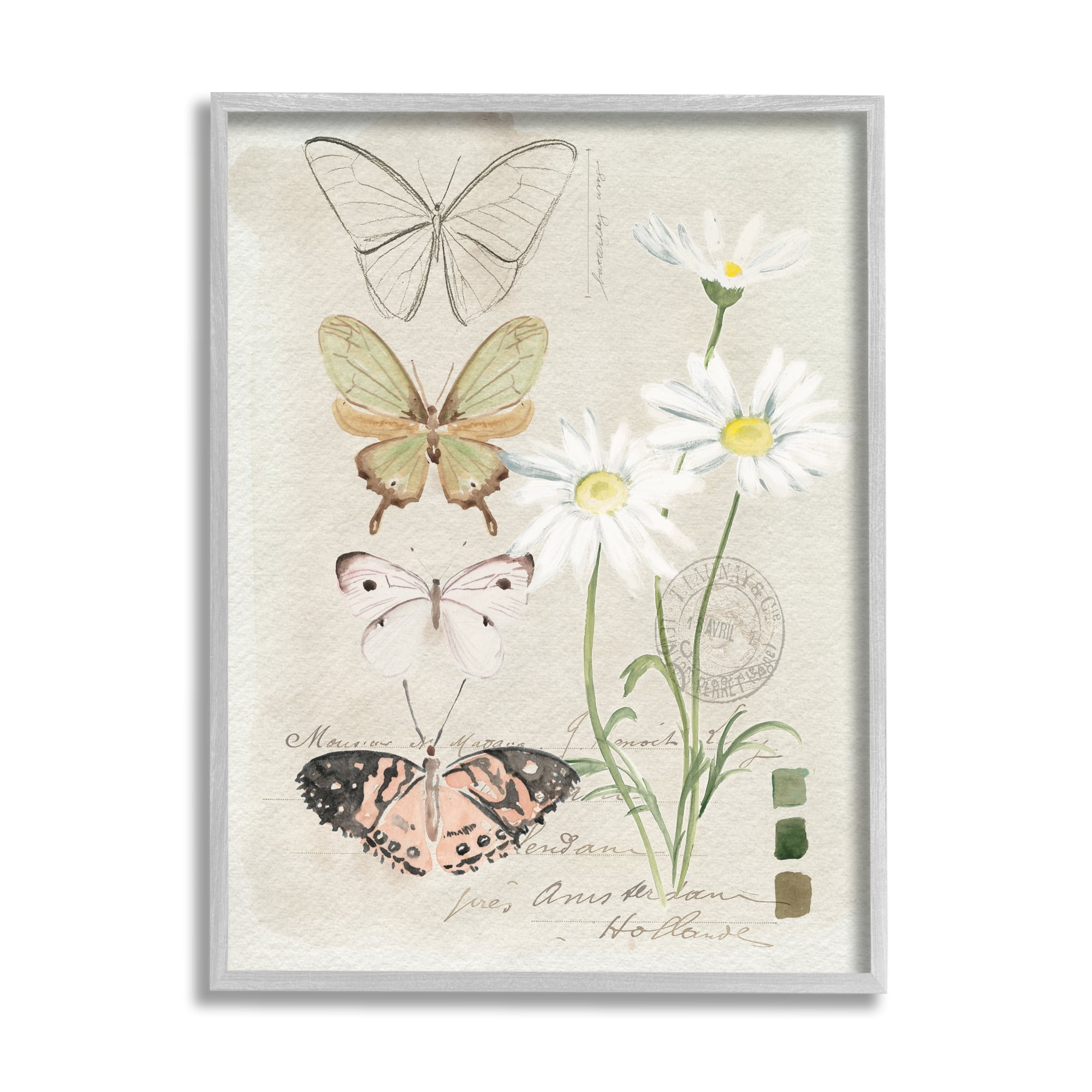 Stupell Industries Antique Daisy Field Study Earth Tone Color Scale Glam Painting Gray Framed Art Print Wall Art, 11 x 14, Design by Jennifer Paxton Parker