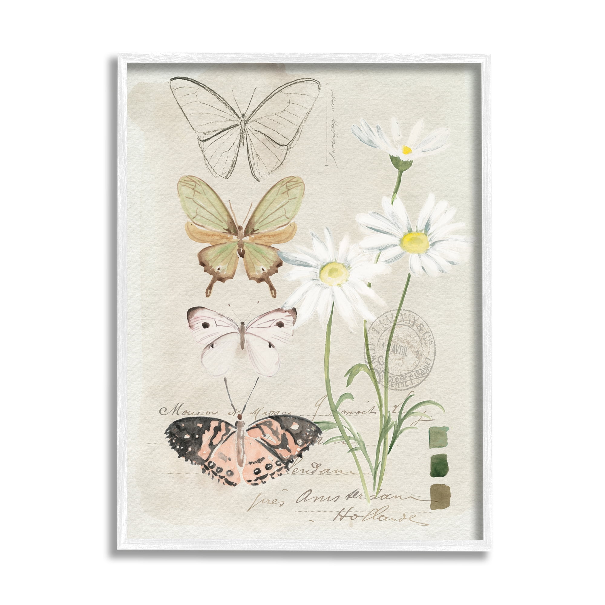 Stupell Industries Antique Daisy Field Study Earth Tone Color Scale Paintings White Framed Art Print Wall Art, 16x20, by Jennifer Paxton Parker