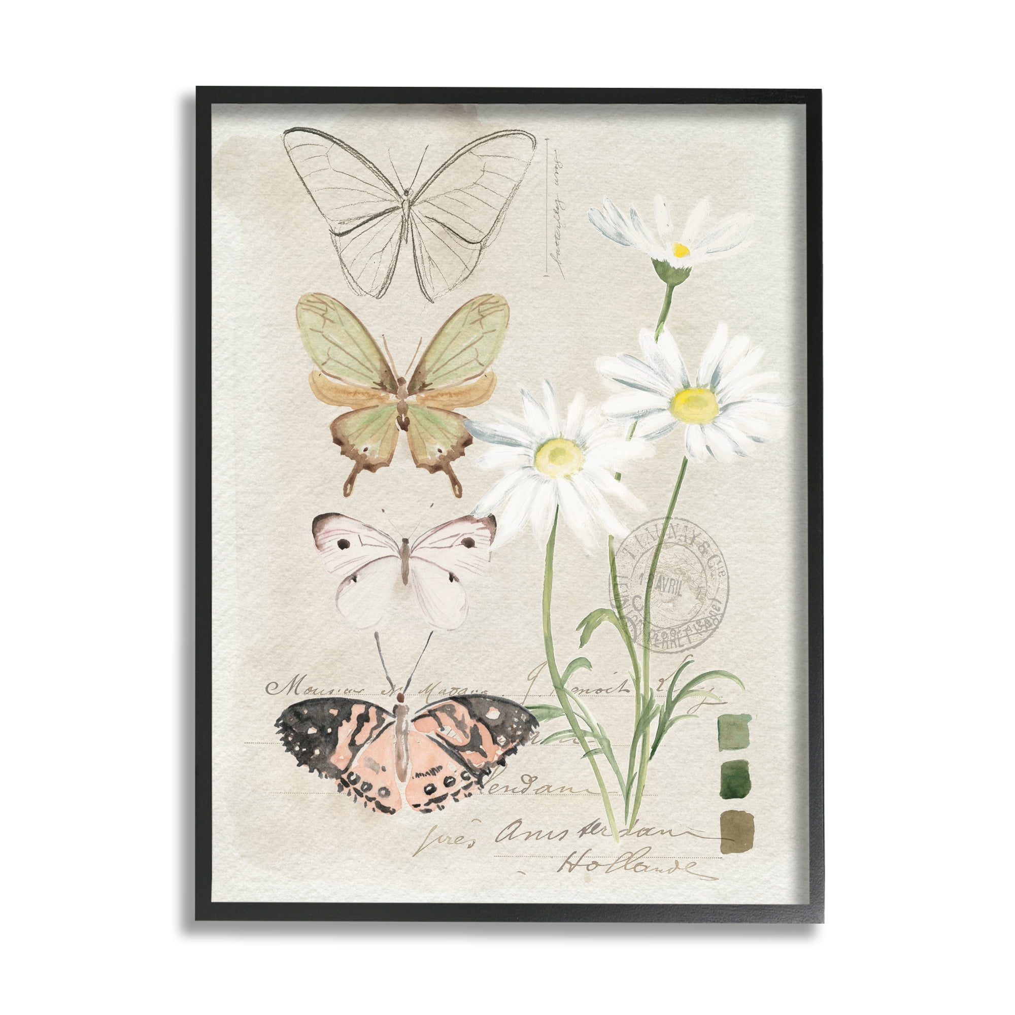 Stupell Industries Antique Daisy Field Study Earth Tone Color Scale Vintage Painting Black Framed Art Print Wall Art, 16 x 20, Design by Jennifer Paxton Parker