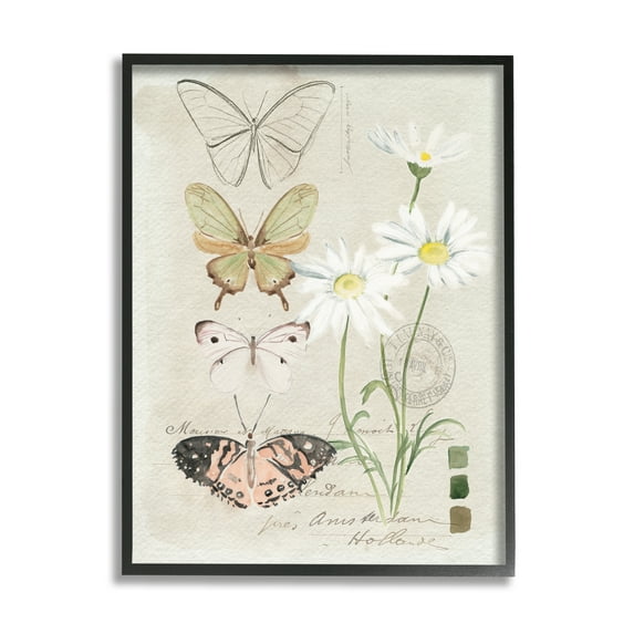 Stupell Industries Antique Daisy Field Study Earth Tone Color Scale Vintage Painting Black Framed Art Print Wall Art, 16 x 20, Design by Jennifer Paxton Parker