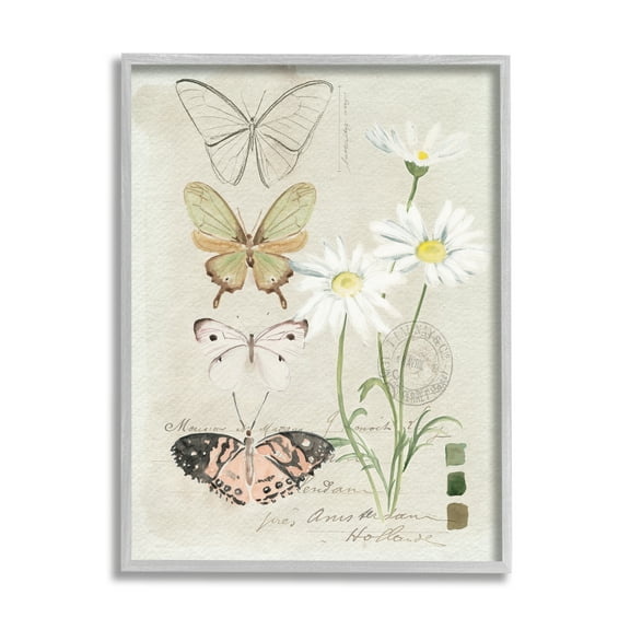 Stupell Industries Antique Daisy Field Study Earth Tone Color Scale Vintage Painting Gray Framed Art Print Wall Art, 16 x 20, Design by Jennifer Paxton Parker