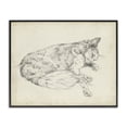 thumbnail image 1 of Stupell Industries Antique Dog Drawing Animals Drawing Black Framed Art Print Wall Art, 30 x 24, 1 of 8
