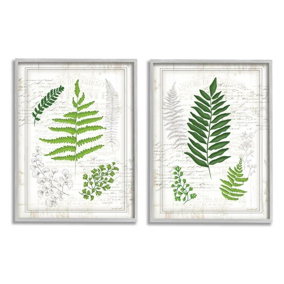 Stupell Industries Antique Fern Study with Script Forest Greenery Designed by Jennifer Pugh