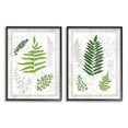thumbnail image 1 of Stupell Industries Antique Fern Study with Script Forest Greenery Designed by Jennifer Pugh, 1 of 5
